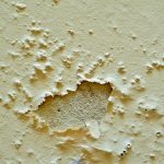 Image shoiwng flaking paint, characteristic of penetrating damp